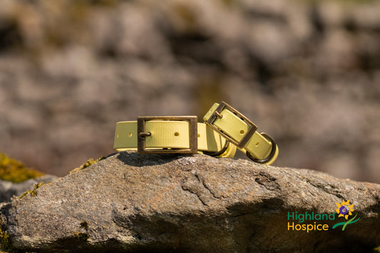 An Solas Collar