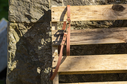 The Saddle Lead