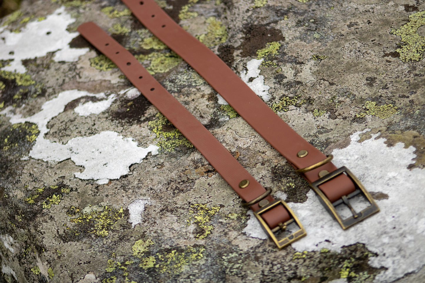 The Saddle Collar