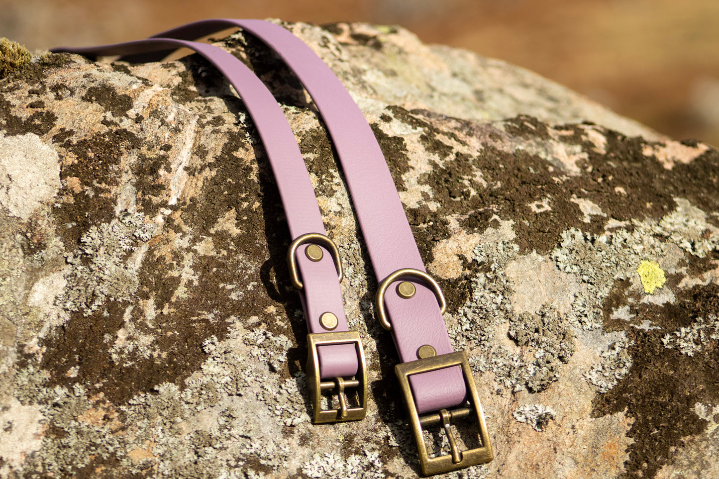 The Brae Collar