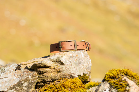 The Saddle Collar