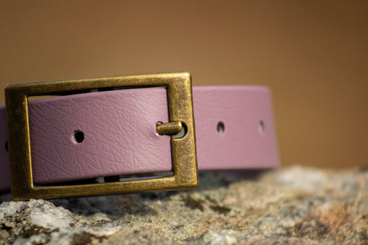 The Brae Collar