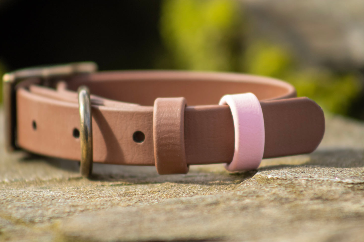 Collar Strap Keeper