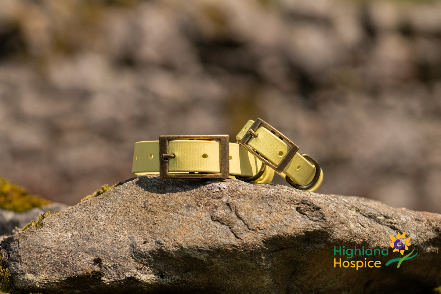 An Solas Collar
