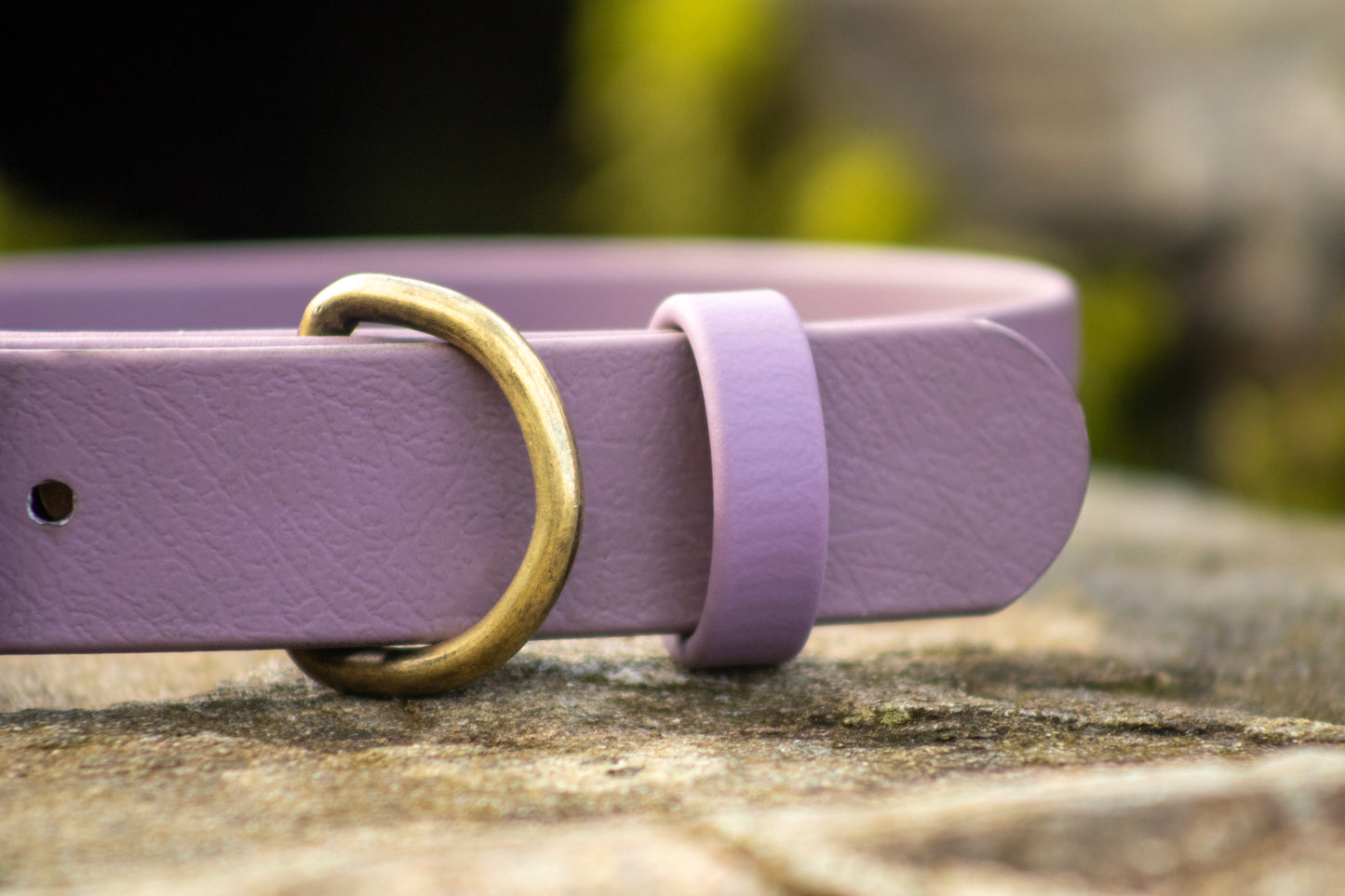 The Brae Collar
