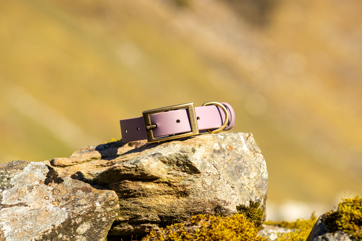 The Brae Collar