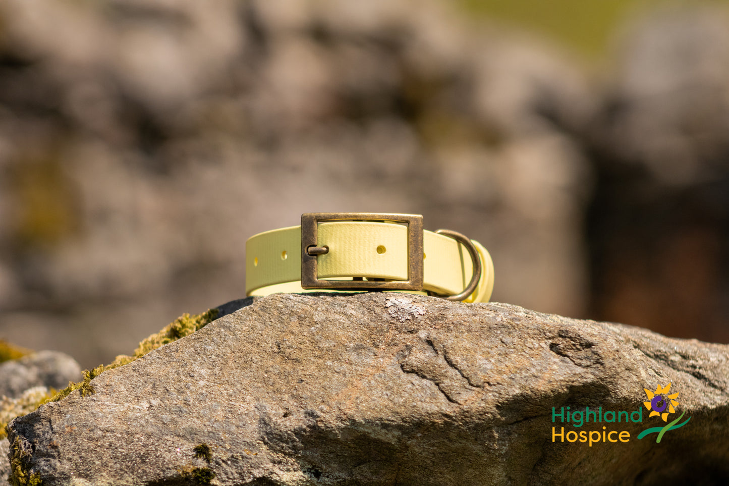 An Solas Collar