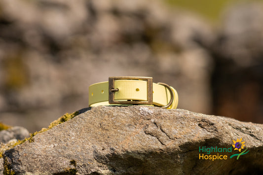 An Solas Collar