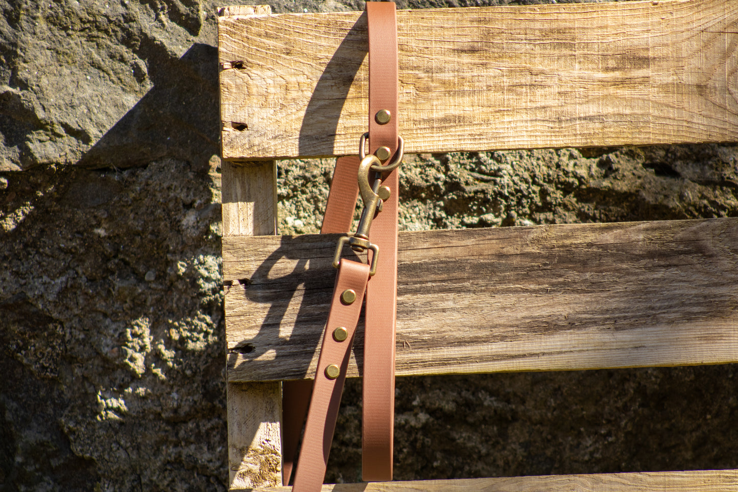 The Saddle Lead