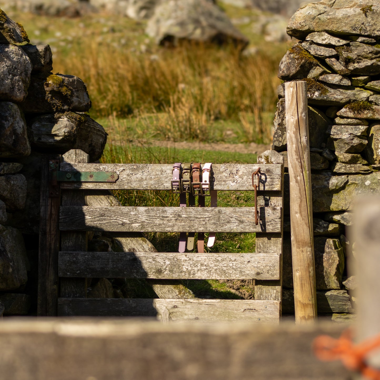 The Brae Collar