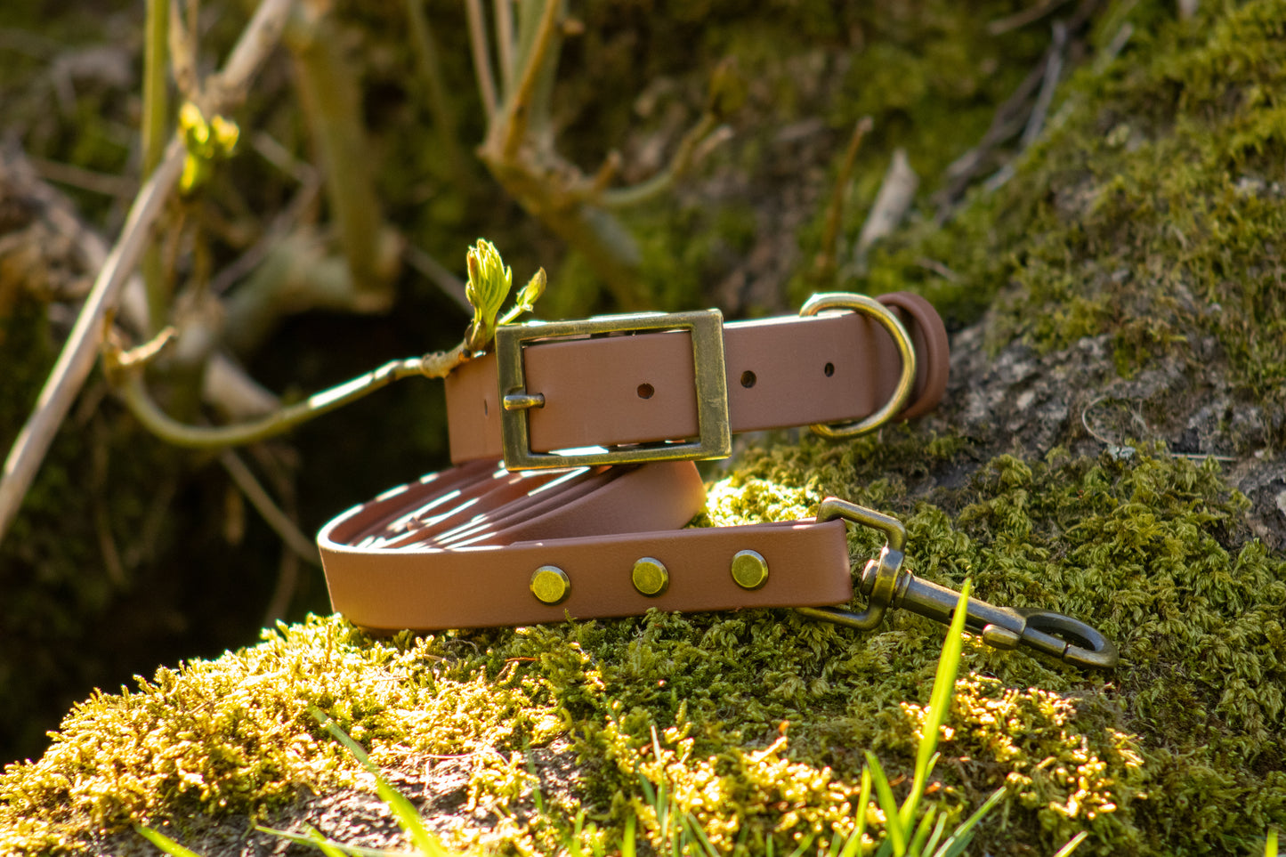 The Saddle Lead