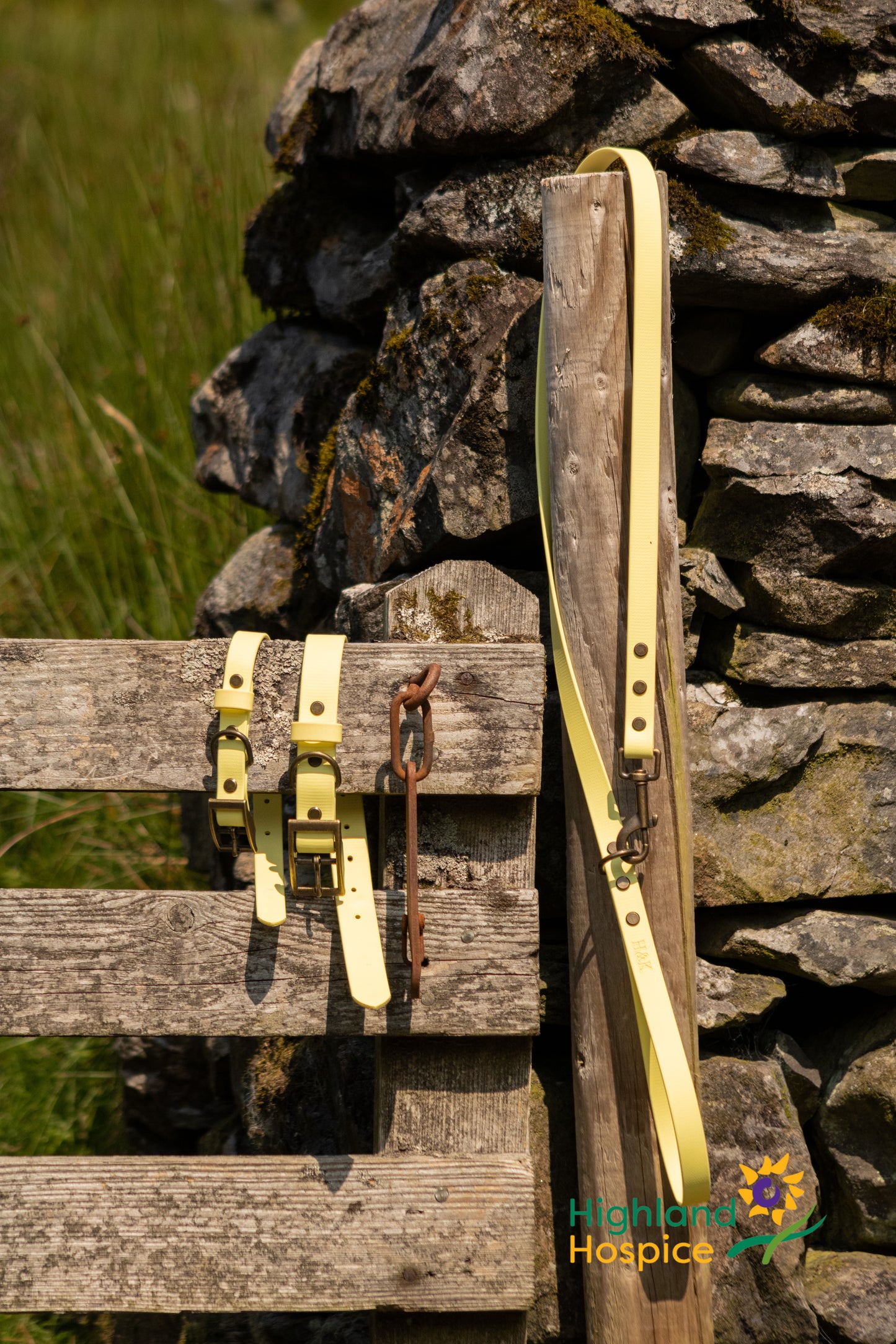 An Solas Collar