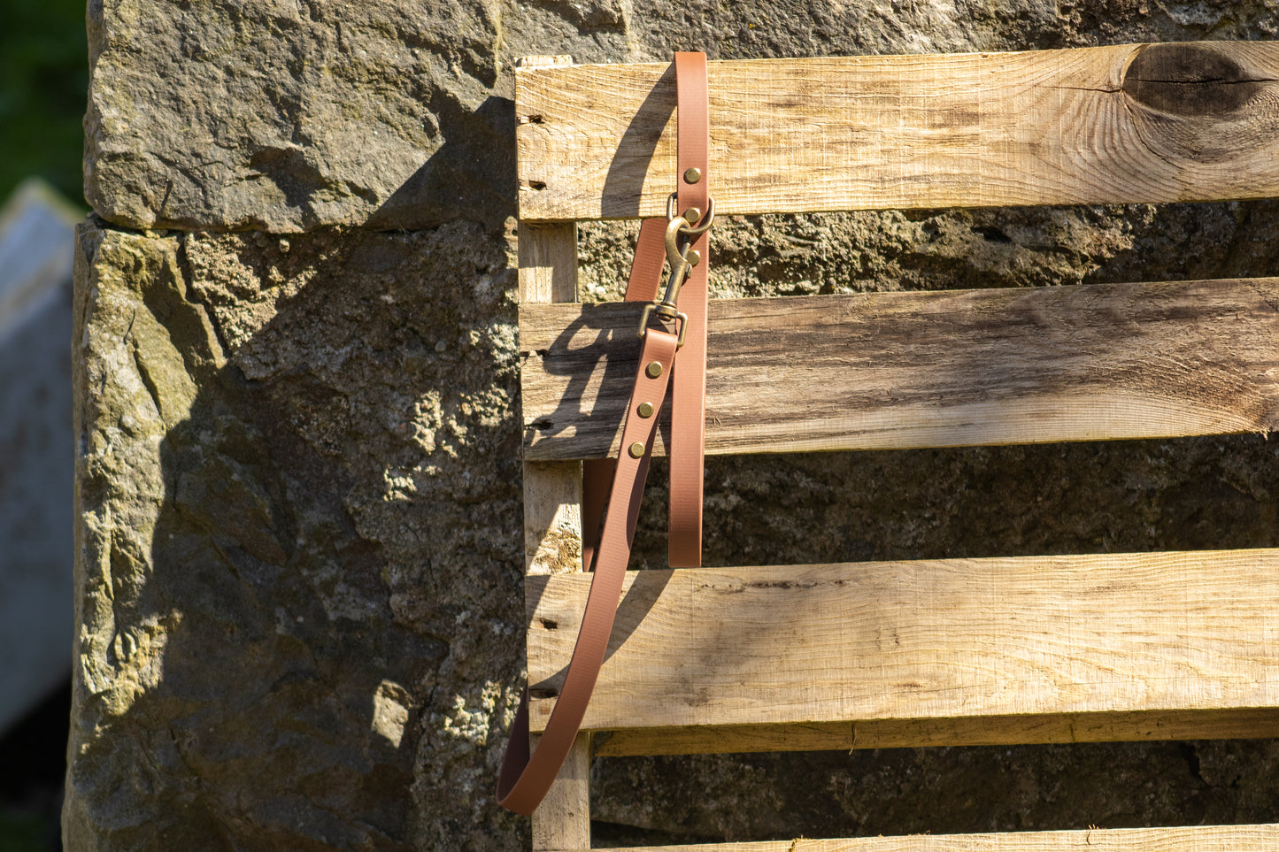 The Saddle Lead